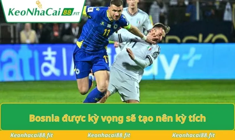 Bosnia được kỳ vọng sẽ tạo nên kỳ tích