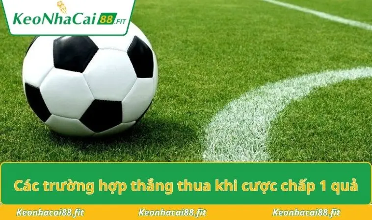Các trường hợp thắng thua khi cược chấp 1 quả