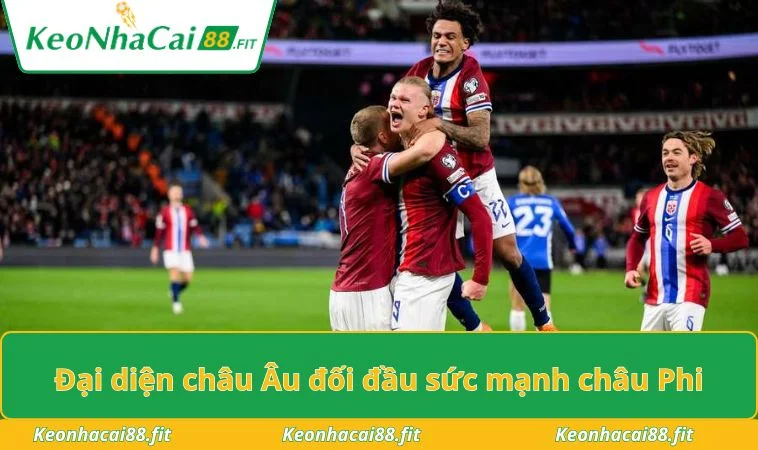 Đại diện châu Âu đối đầu sức mạnh châu Phi