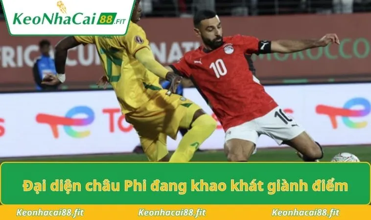 Đại diện châu Phi đang khao khát giành điểm