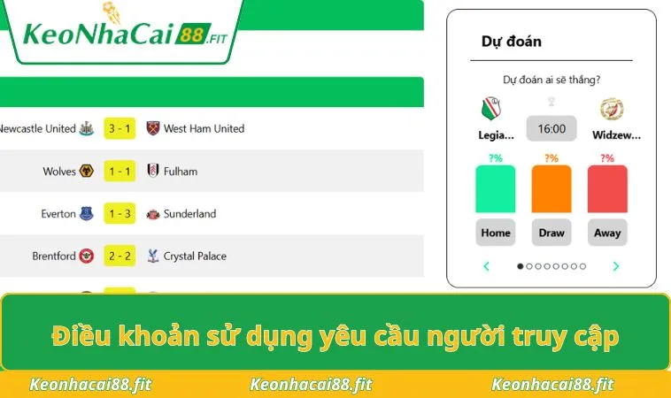 Điều khoản sử dụng yêu cầu người truy cập