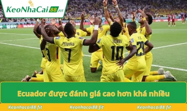 Ecuador được đánh giá cao hơn khá nhiều