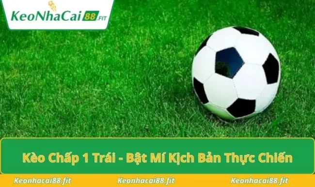 Kèo Chấp 1 Trái - Bật Mí Kịch Bản Thực Chiến Gom Tiền Lớn