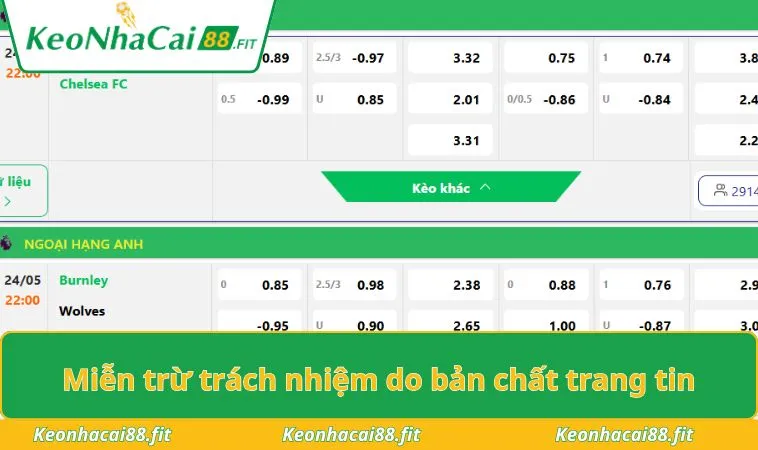 Miễn trừ trách nhiệm do bản chất trang tin
