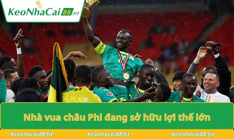 nha vua chau phi dang so huu loi the lon Nhà vua châu Phi đang sở hữu lợi thế lớn