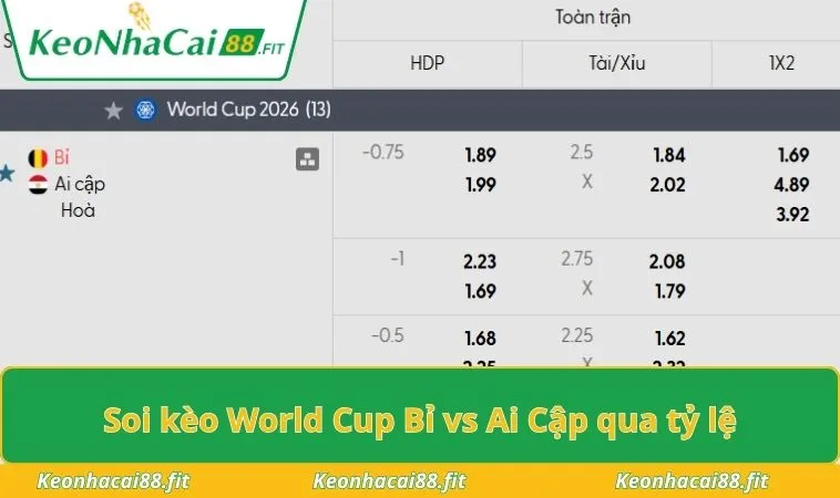 Soi kèo World Cup Bỉ vs Ai Cập qua tỷ lệ