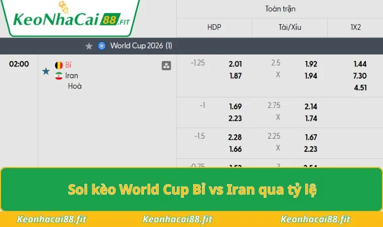 Soi kèo World Cup Bỉ vs Iran qua tỷ lệ
