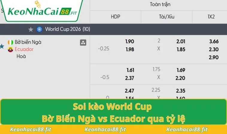 Soi kèo World Cup Bờ Biển Ngà vs Ecuador qua tỷ lệ