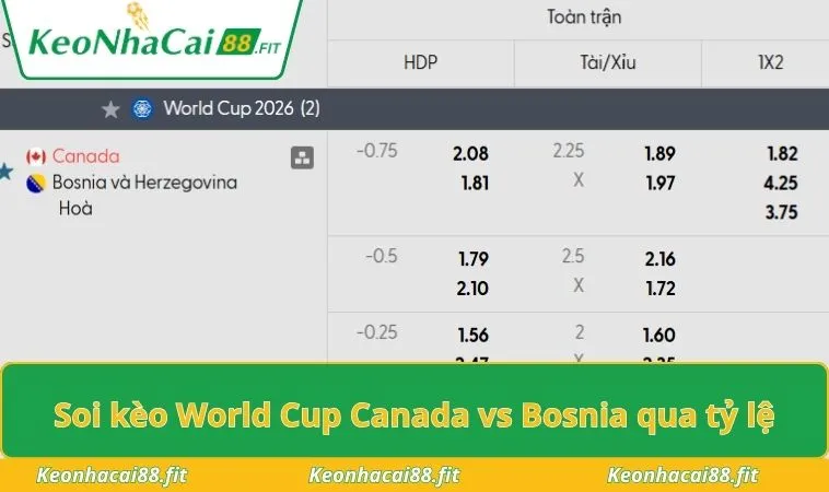 Soi kèo World Cup Canada vs Bosnia qua tỷ lệ