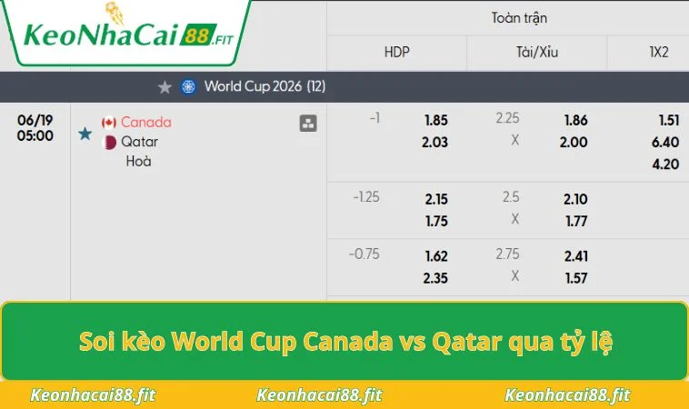Soi kèo World Cup Canada vs Qatar qua tỷ lệ
