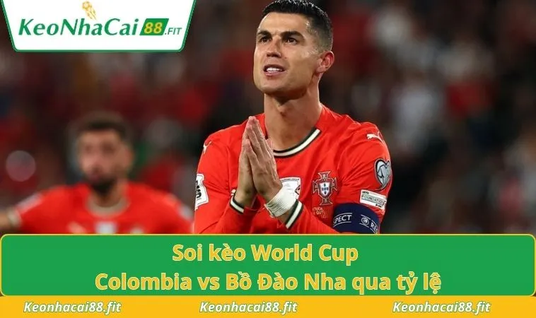 Soi kèo World Cup Colombia vs Bồ Đào Nha qua tỷ lệ