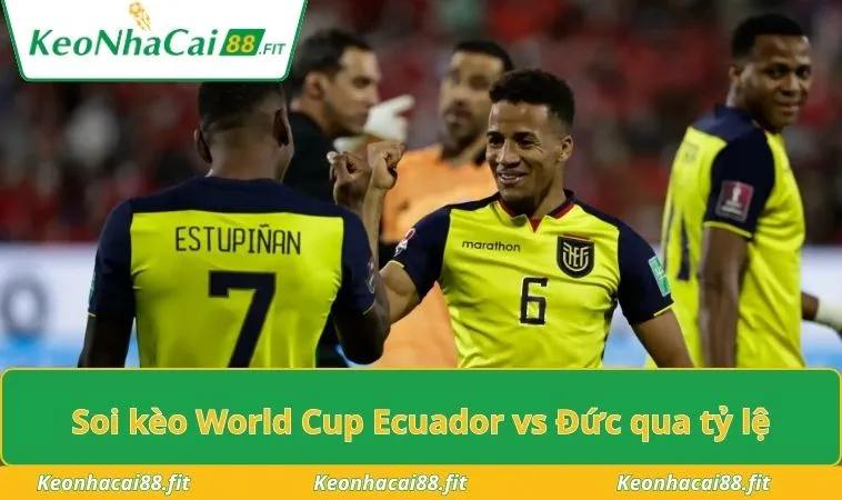 Soi kèo World Cup Ecuador vs Đức qua tỷ lệ