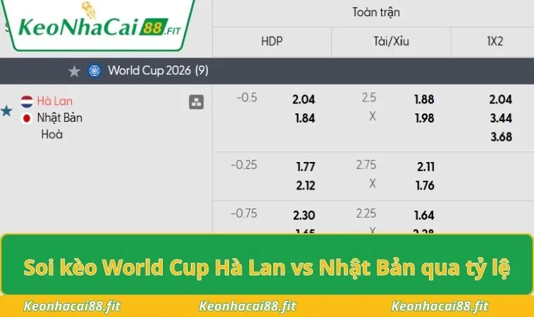 Soi kèo World Cup Hà Lan vs Nhật Bản qua tỷ lệ