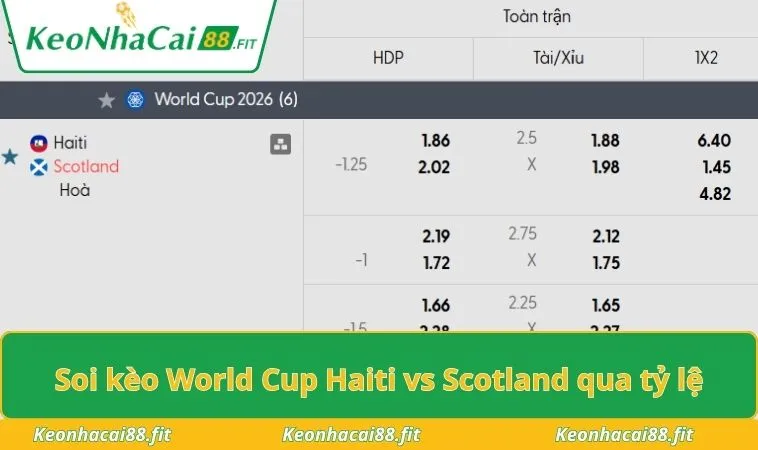 Soi kèo World Cup Haiti vs Scotland qua tỷ lệ