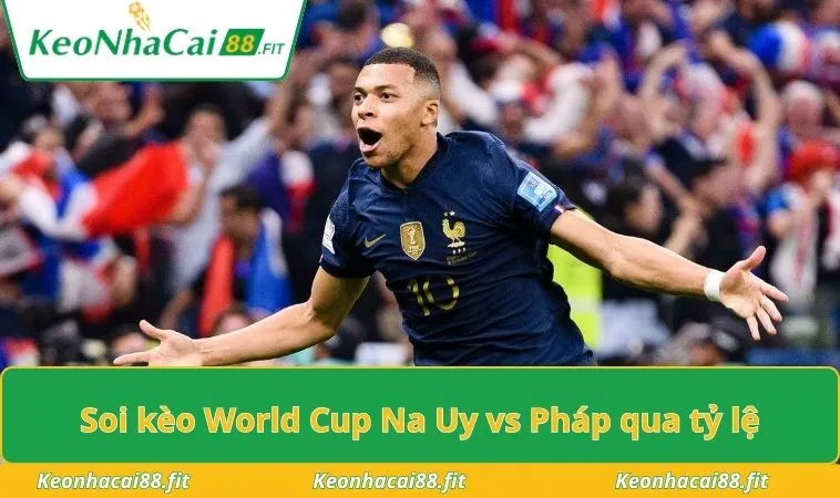 Soi kèo World Cup Na Uy vs Pháp qua tỷ lệ