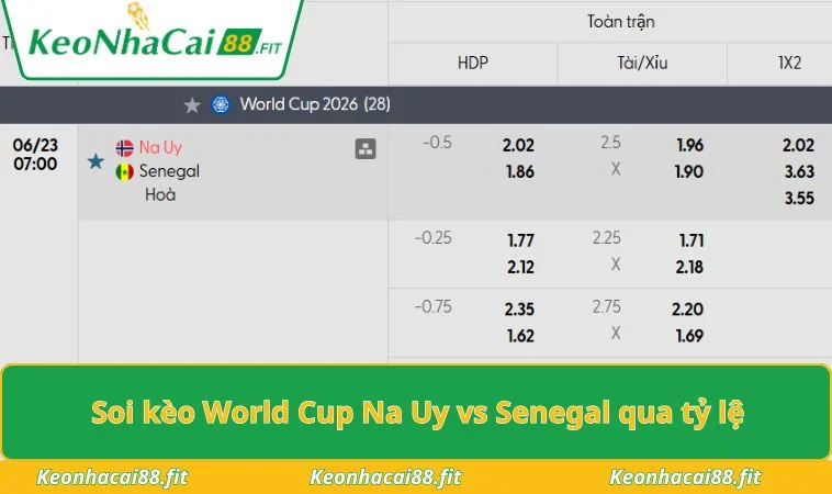 Soi kèo World Cup Na Uy vs Senegal qua tỷ lệ