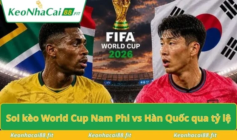 Soi kèo World Cup Nam Phi vs Hàn Quốc qua tỷ lệ