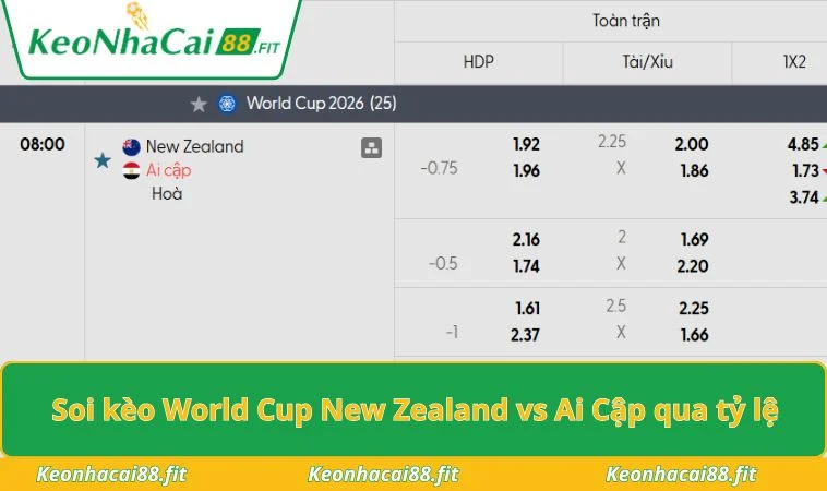 Soi kèo World Cup New Zealand vs Ai Cập qua tỷ lệ