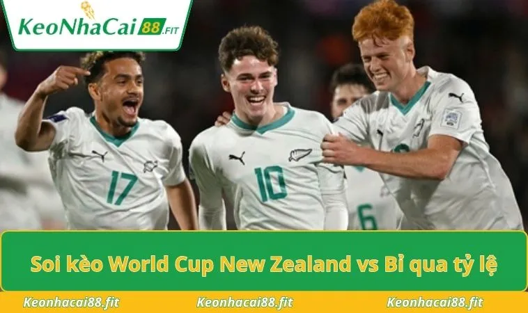 Soi kèo World Cup New Zealand vs Bỉ qua tỷ lệ