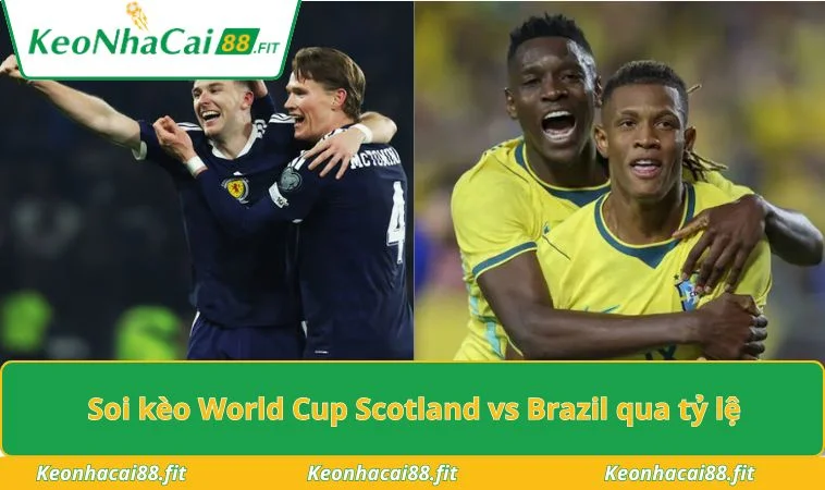 Soi kèo World Cup Scotland vs Brazil qua tỷ lệ