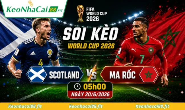 Soi kèo World Cup Scotland vs Ma Rốc, 05h00 ngày 20/6/2026