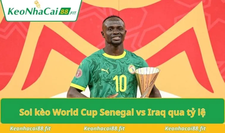 soi keo world cup senegal vs iraq qua ty le Soi kèo World Cup Senegal vs Iraq qua tỷ lệ