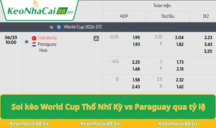 Soi kèo World Cup Thổ Nhĩ Kỳ vs Paraguay qua tỷ lệ