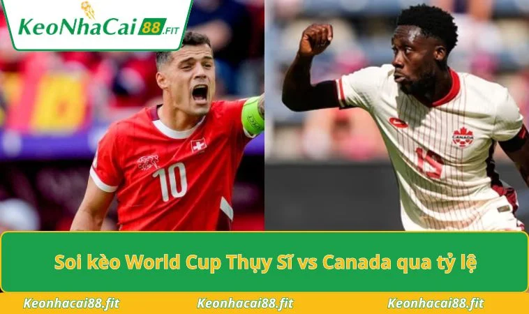 Soi kèo World Cup Thụy Sĩ vs Canada qua tỷ lệ
