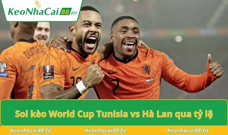 Soi kèo World Cup Tunisia vs Hà Lan qua tỷ lệ