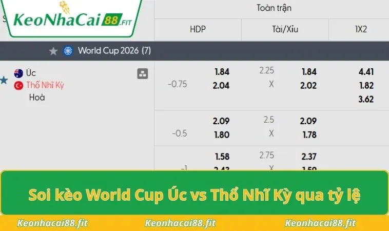 Soi kèo World Cup Úc vs Thổ Nhĩ Kỳ qua tỷ lệ