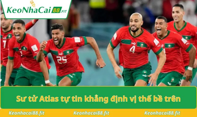 Sư tử Atlas tự tin khẳng định vị thế bề trên